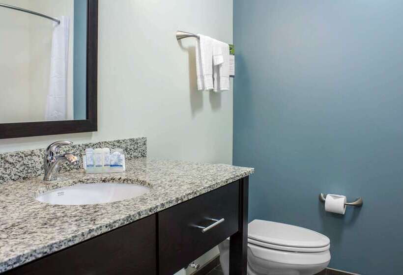 ホテル Sleep Inn & Suites Fort Dodge