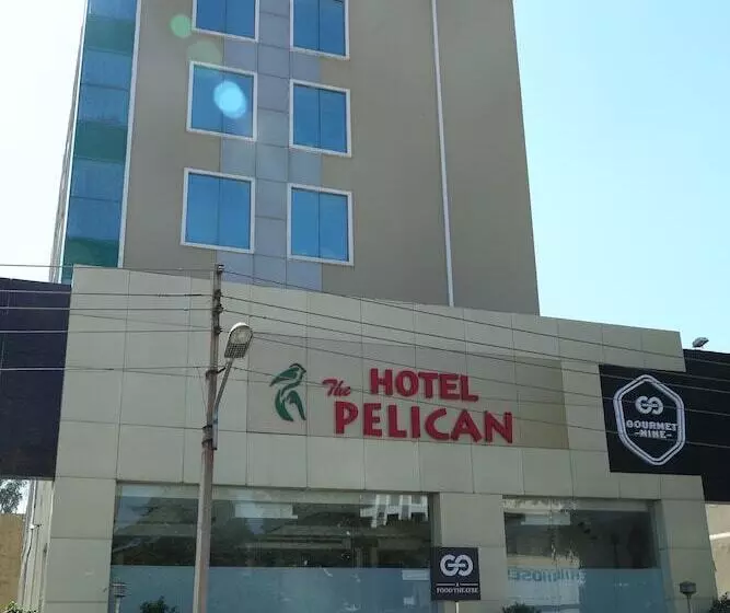 هتل The Pelican