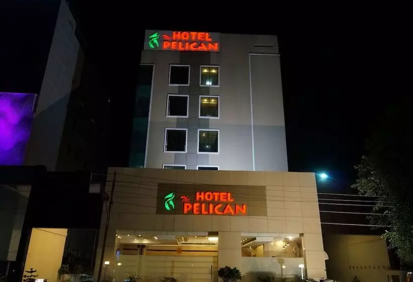 هتل The Pelican
