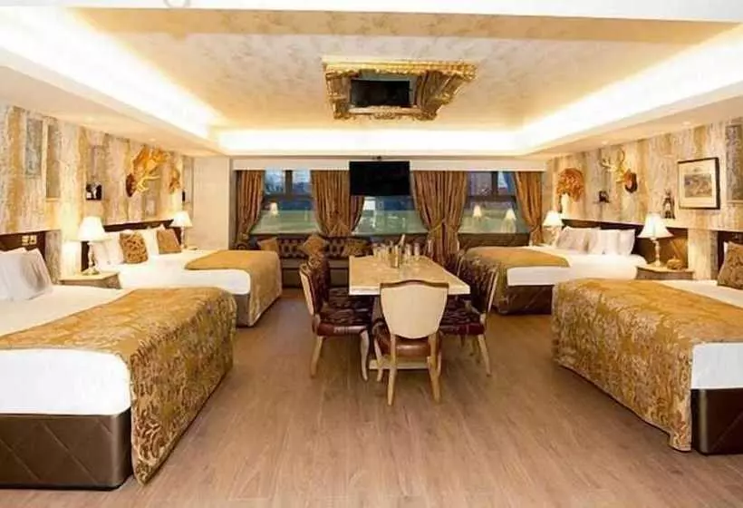 فندق The Shankly