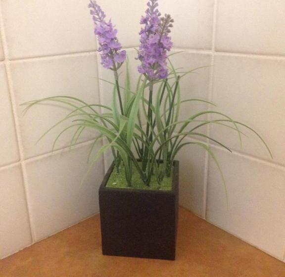 Мотель The Nosh & Nod Avon Terrace