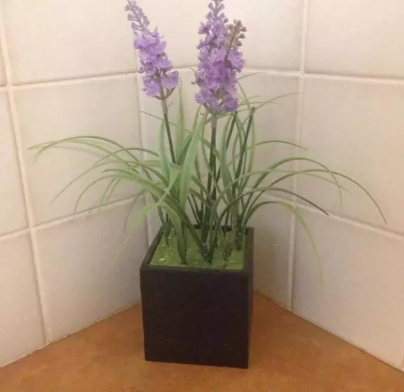 فندق على الطريق The Nosh & Nod Avon Terrace