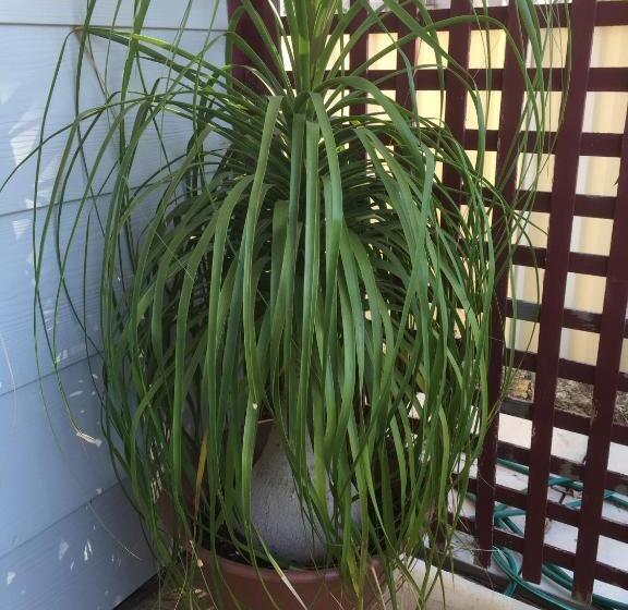 Мотель The Nosh & Nod Avon Terrace