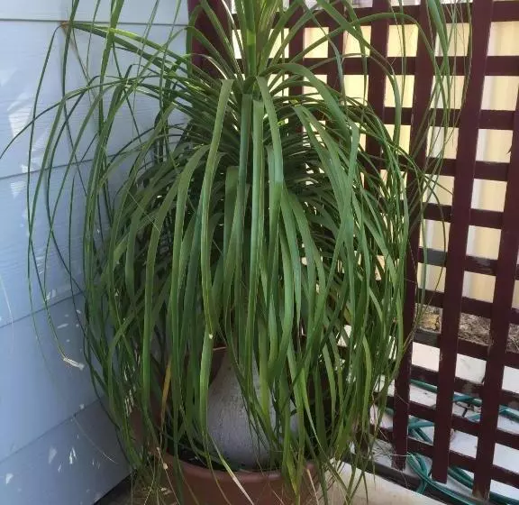 فندق على الطريق The Nosh & Nod Avon Terrace