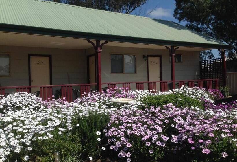 Мотель The Nosh & Nod Avon Terrace