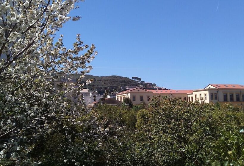 ペンション Sorrento Guest House