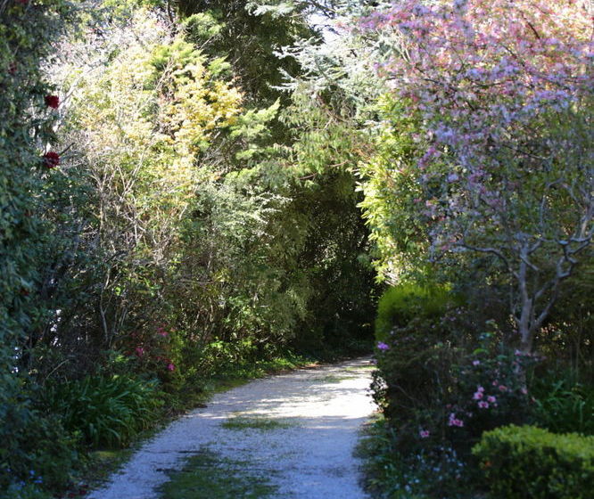 펜션 Avonleigh Guest House