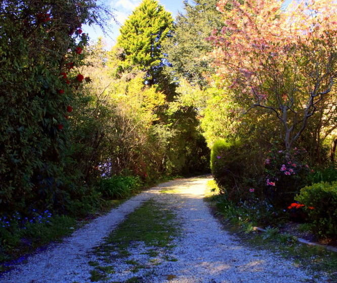 펜션 Avonleigh Guest House