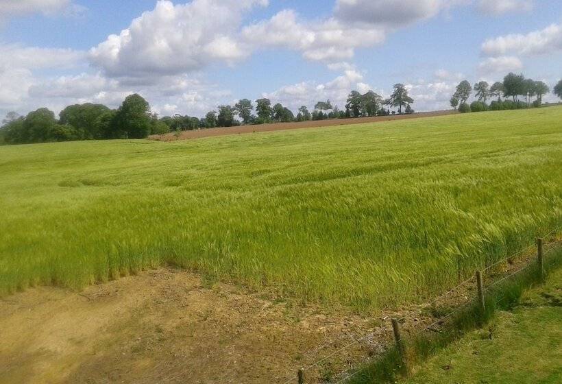 Pensiune La Gerbaudiere Chambres  Tables D Hôtes
