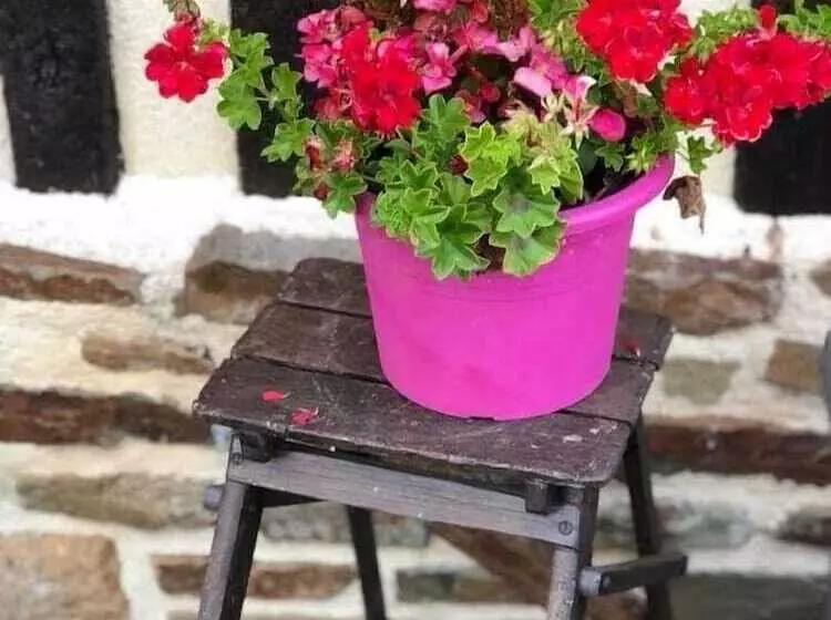 Majatalo La Gerbaudiere Chambres  Tables D Hôtes