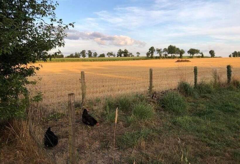 Pensiune La Gerbaudiere Chambres  Tables D Hôtes