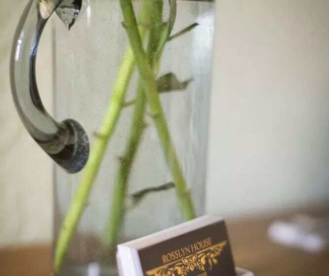 Bed and Breakfast Rosslyn House