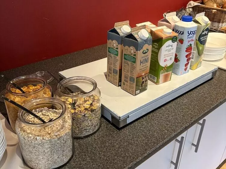 Danhostel Odense City