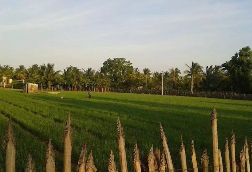 Inn Sea Zone Hotel Nilaveli