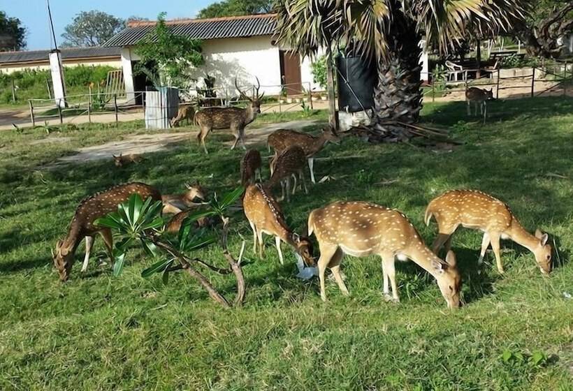 簡易ホテル Sea Zone Hotel Nilaveli