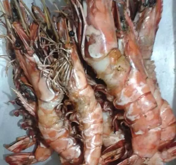 Inn Sea Zone Hotel Nilaveli