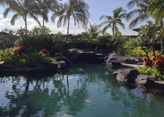 בית מלון כפרי Mauna Lani Villa A 22