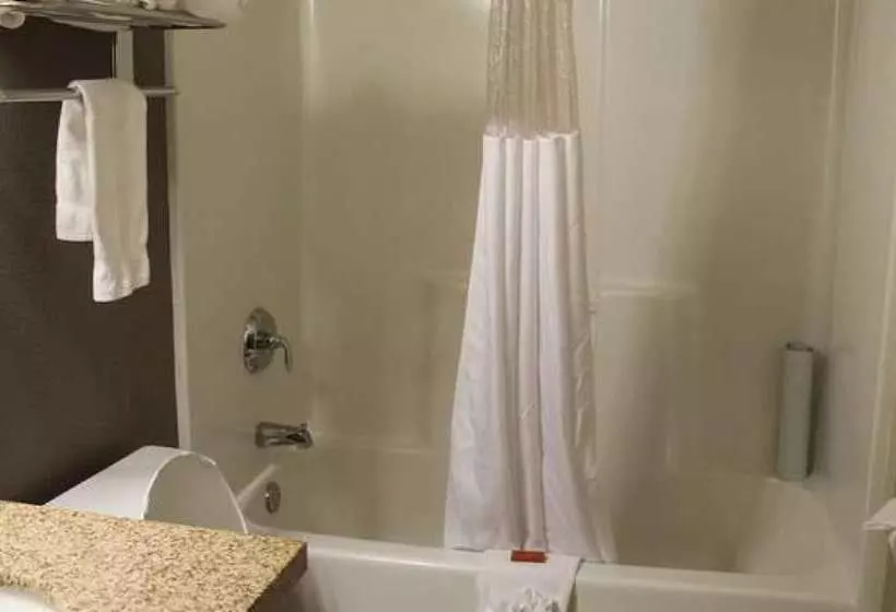 Isle Casino Hotel Lula