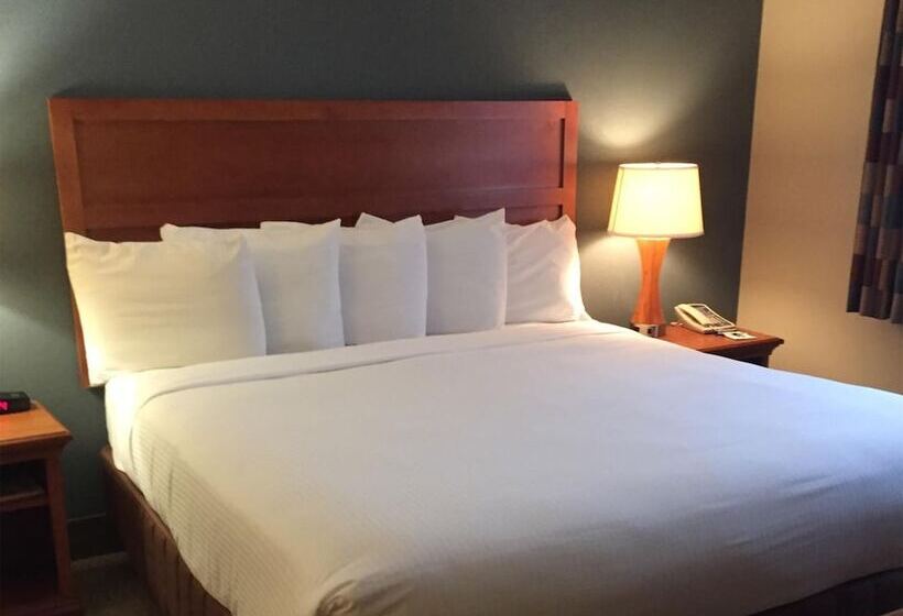 Isle Casino Hotel Lula