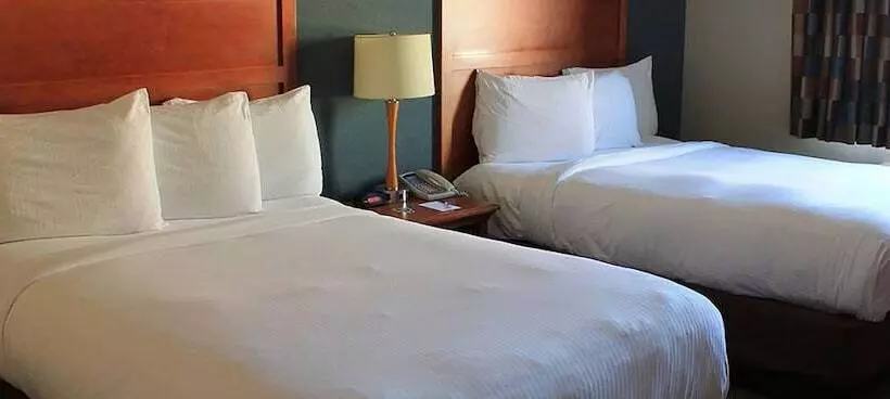 Isle Casino Hotel Lula