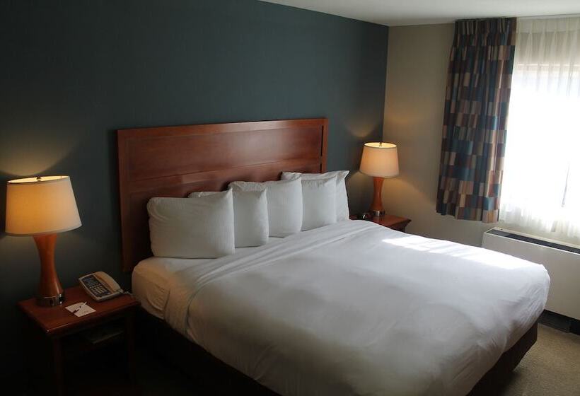 Isle Casino Hotel Lula