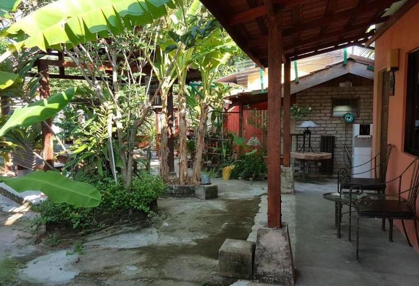 فندق على الطريق The Coconut Langkawi