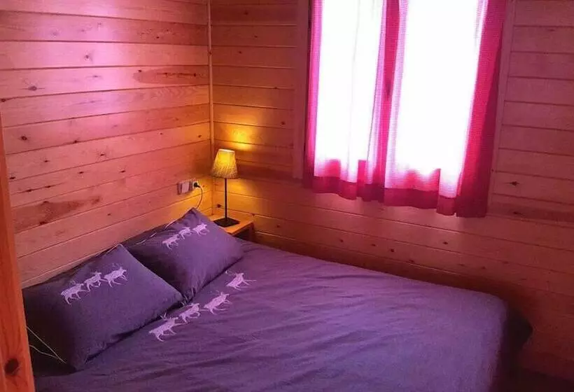 Bungalows Nou Camping