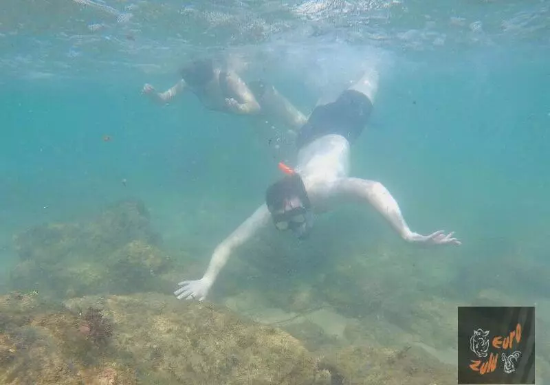 Пансион Lodge Afrique