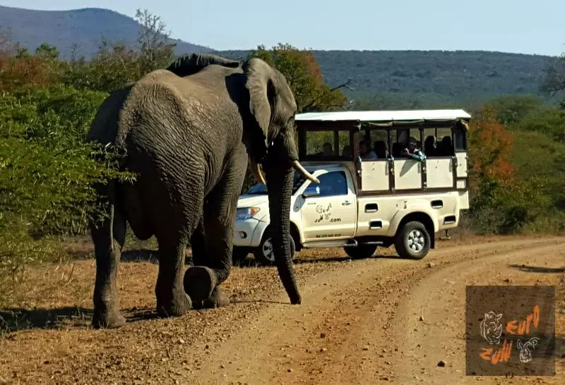Пансион Lodge Afrique