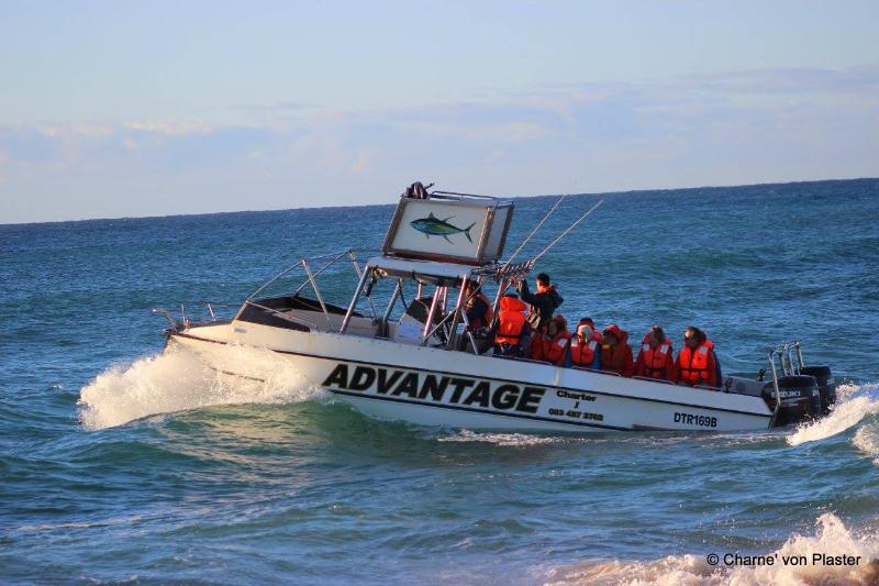 بنسيون Lodge Afrique