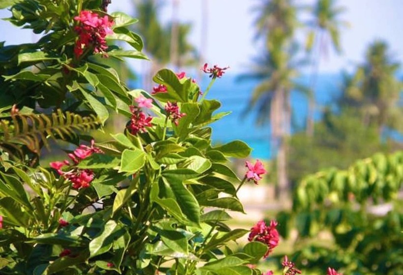 ペンション Pink House Breakfast Include