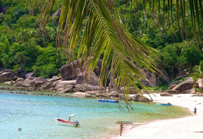 ペンション Pink House Breakfast Include