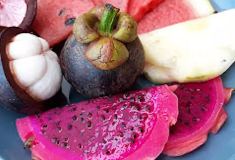 펜션 Pink House Breakfast Include