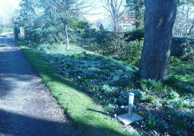 ペンション Spylaw Bank House