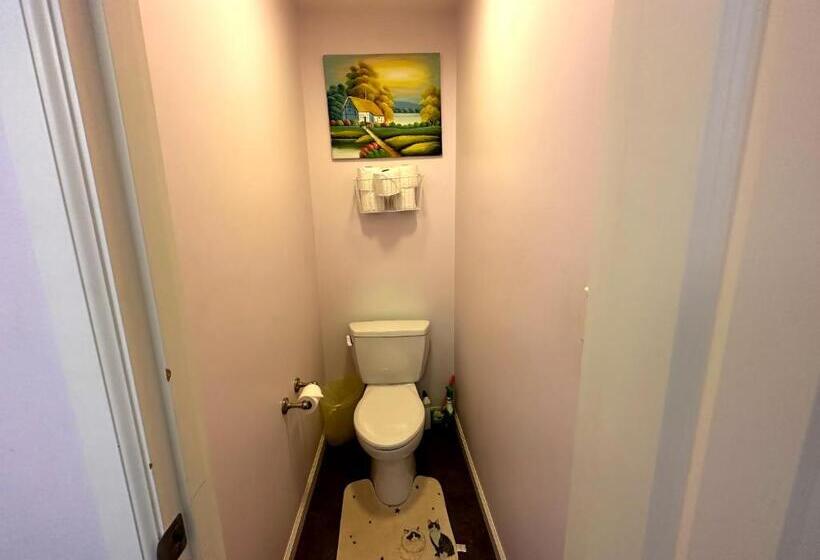 بنسيون Green Garden