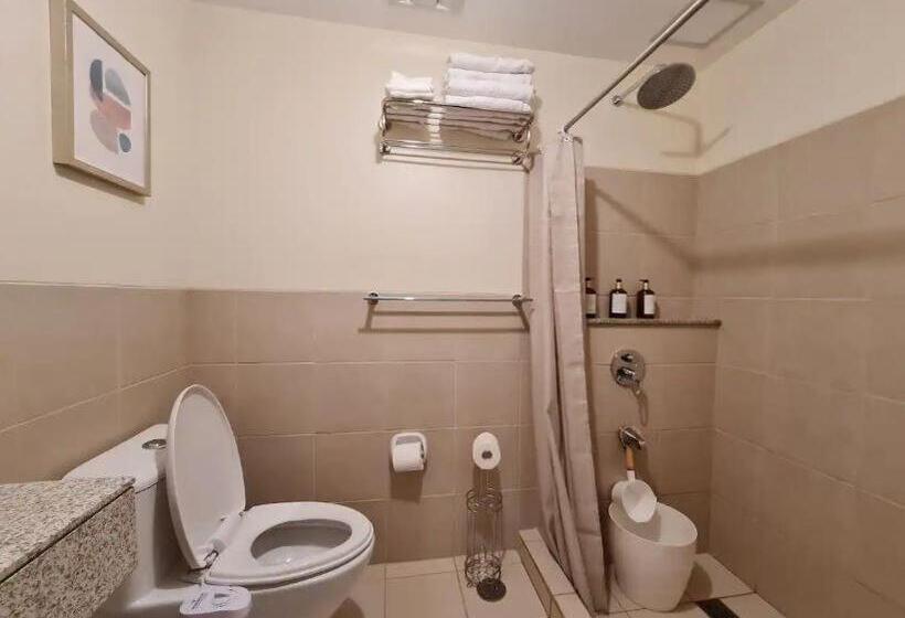 Two Suite At Bristle Ridge Baguio City 2br