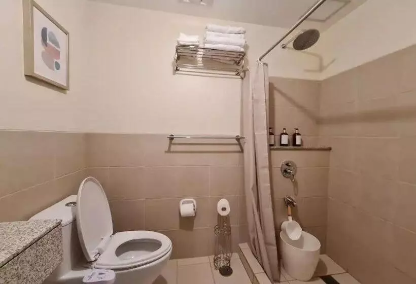 Two Suite At Bristle Ridge   Baguio City 2br