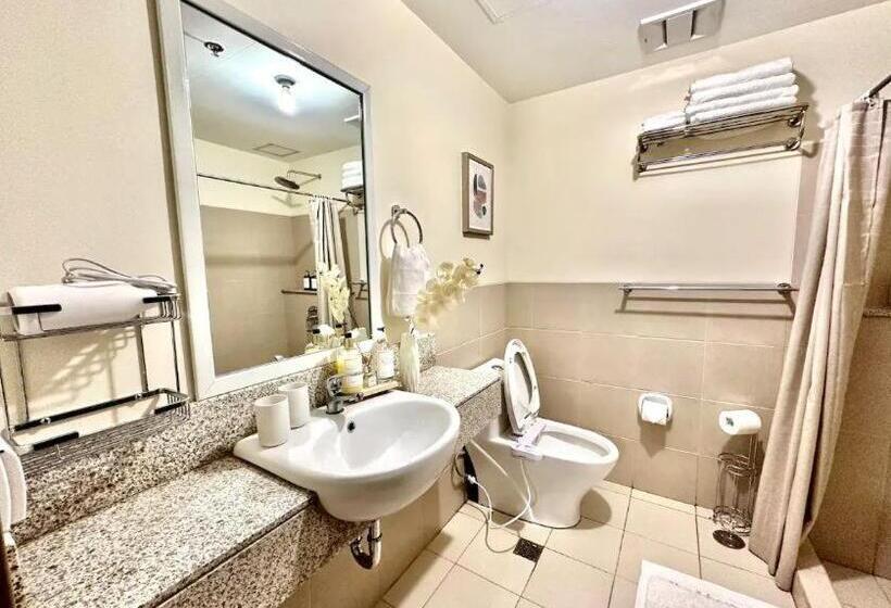 Two Suite At Bristle Ridge Baguio City 2br
