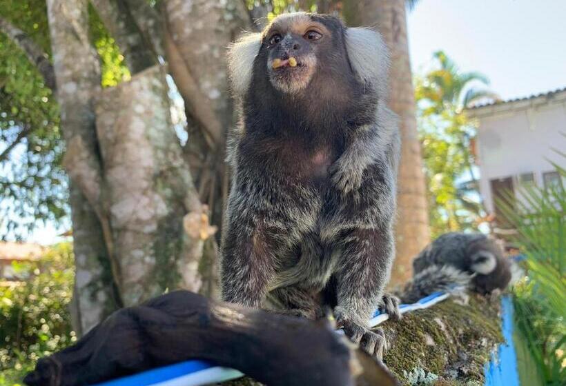 Hostel Pousada Bella Spiaggia