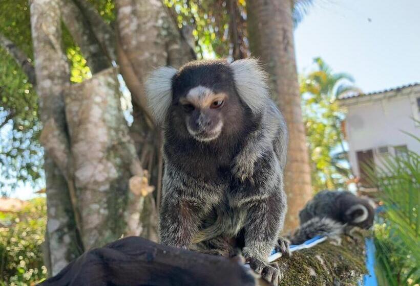 Hostel Pousada Bella Spiaggia