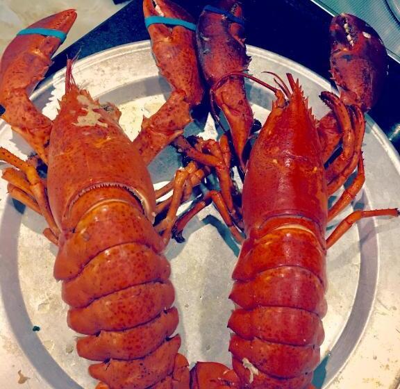 Moc Tra Hotel Tuan Chau Hạ Long