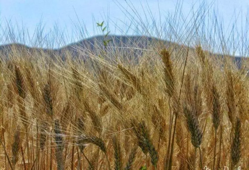Aamiaismajoitus (B&B) La Casa Di Isabella Loreto