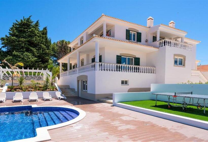 تختخواب و صبحانه Vida Boa Lodge