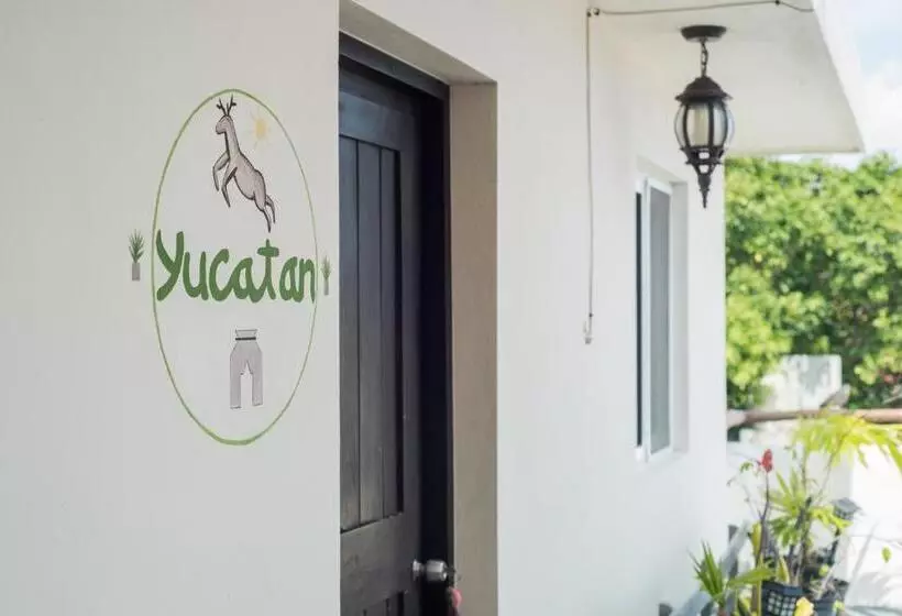 Hidalgo Boutique Rooms