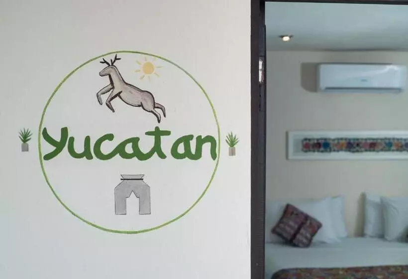 Hidalgo Boutique Rooms