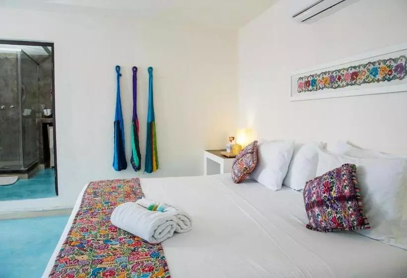 Hidalgo Boutique Rooms