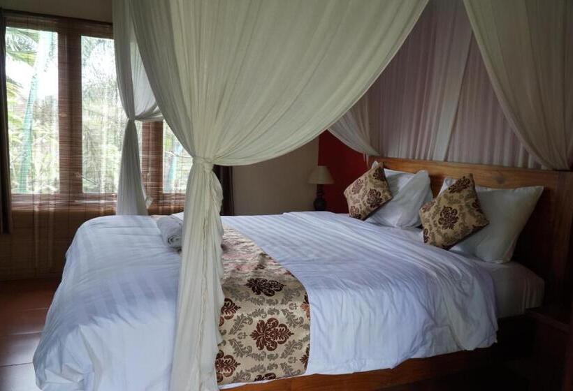 بنسيون Jiwa S House