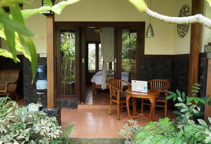 بنسيون Jiwa S House