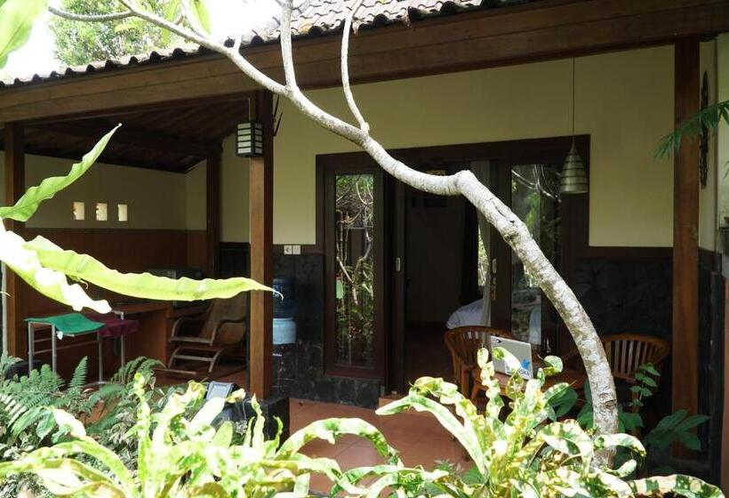 بنسيون Jiwa S House