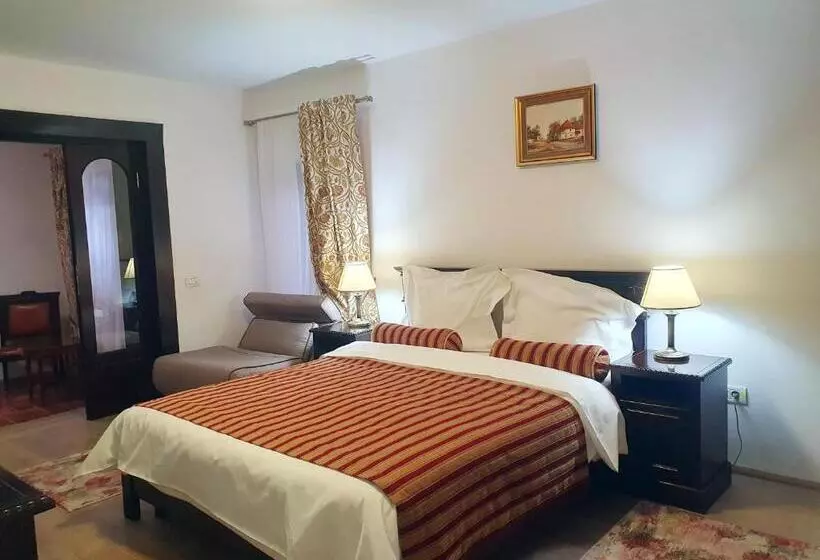 ペンション Vila Leonida   Resort Leonida